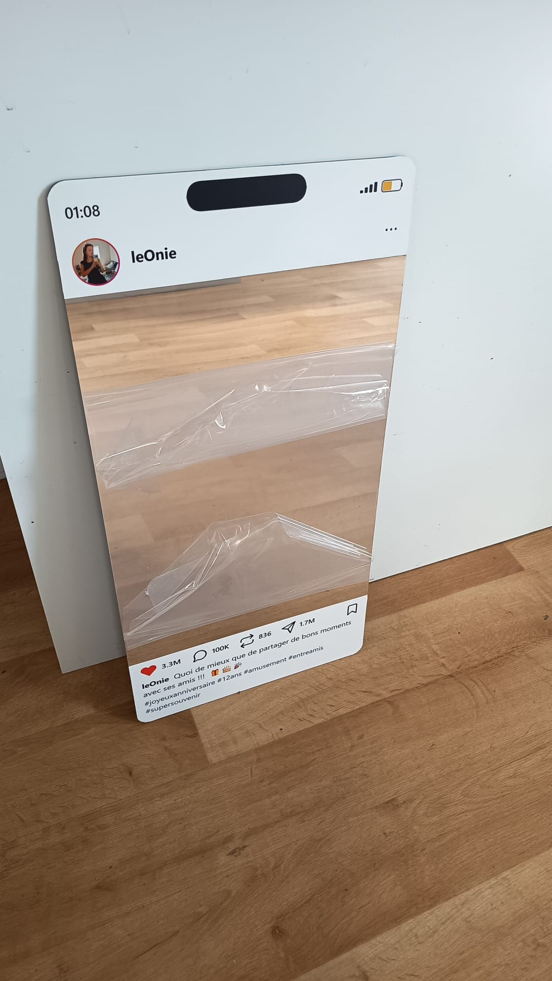 Social-Miroir Léonie